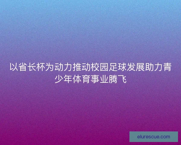 以省长杯为动力推动校园足球发展助力青少年体育事业腾飞