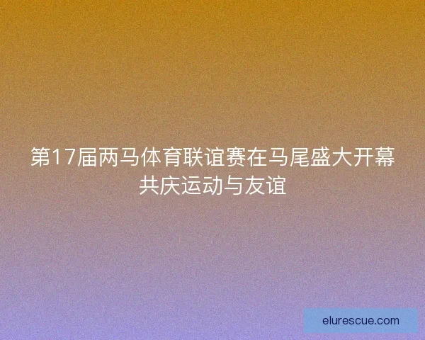 第17届两马体育联谊赛在马尾盛大开幕共庆运动与友谊