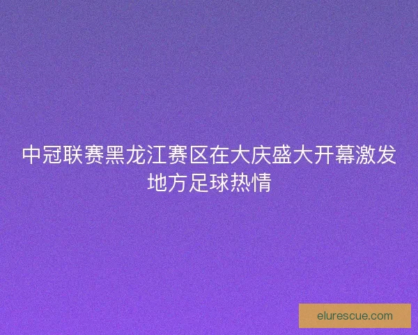 中冠联赛黑龙江赛区在大庆盛大开幕激发地方足球热情