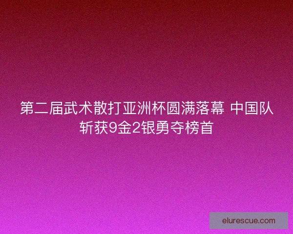 第二届武术散打亚洲杯圆满落幕 中国队斩获9金2银勇夺榜首
