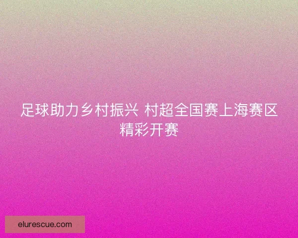 足球助力乡村振兴 村超全国赛上海赛区精彩开赛